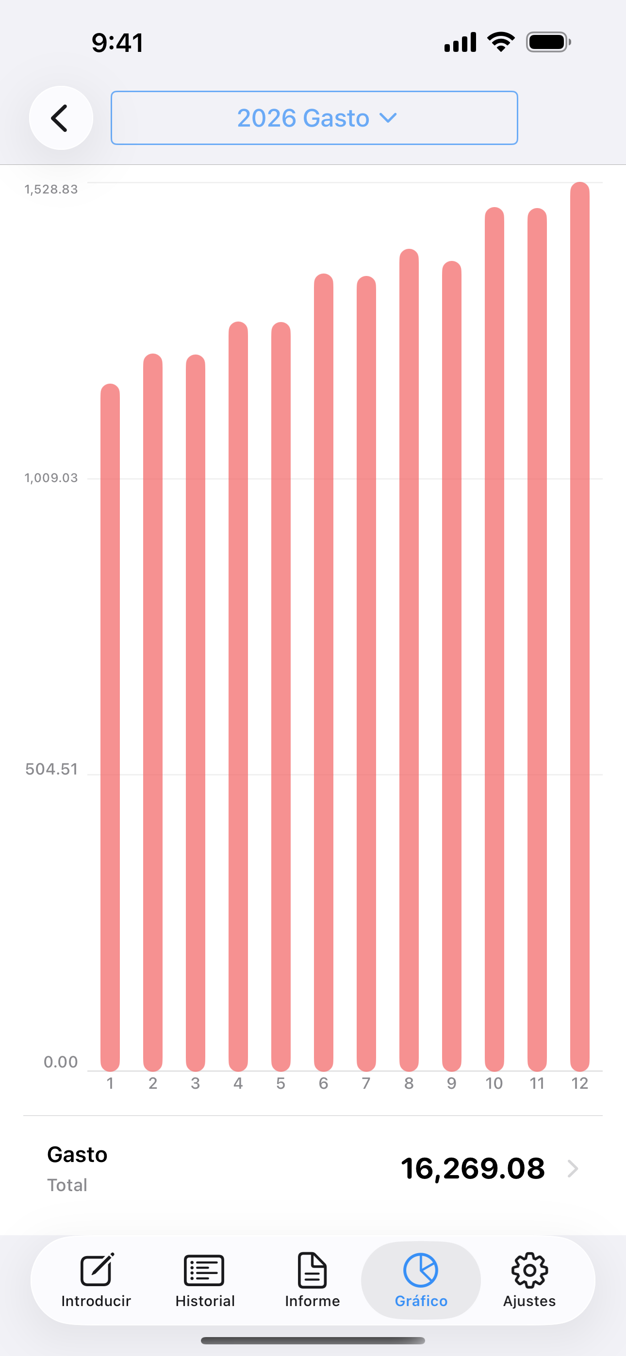 Gráfica de barras que compara los gastos mensuales de enero a diciembre.